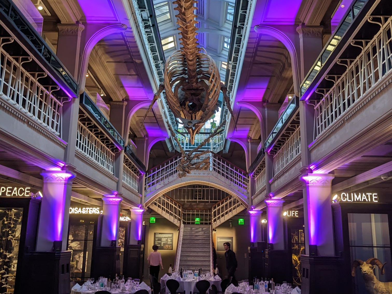 Dinner at the Manchester Museum