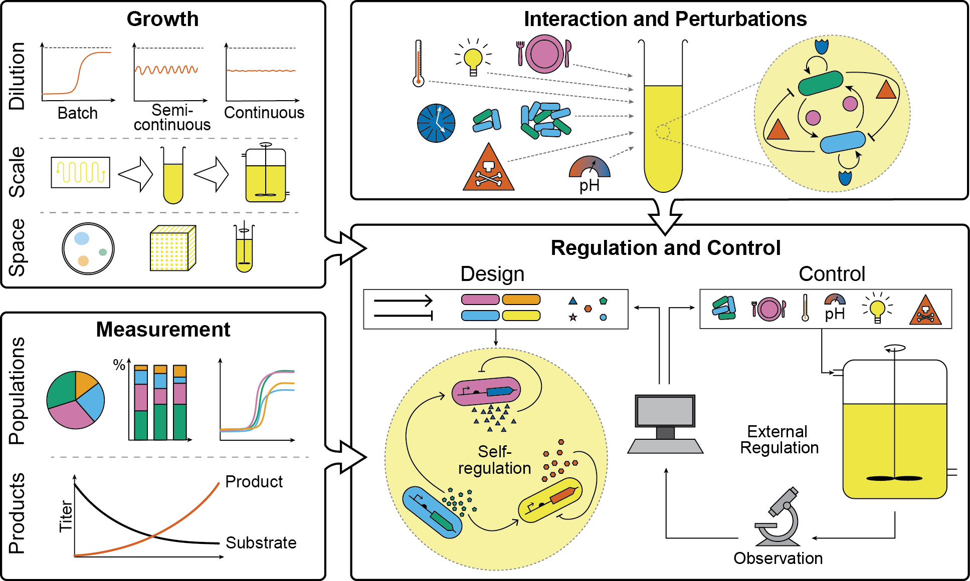 Review figure 1